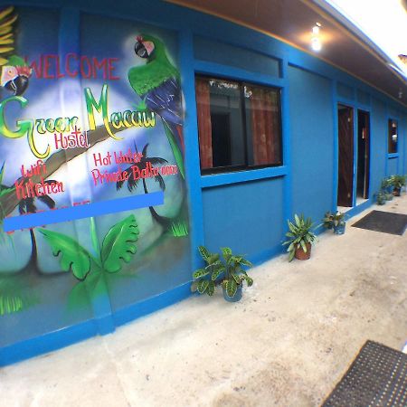 Green Macaw Hostel Tortuguero Exterior foto