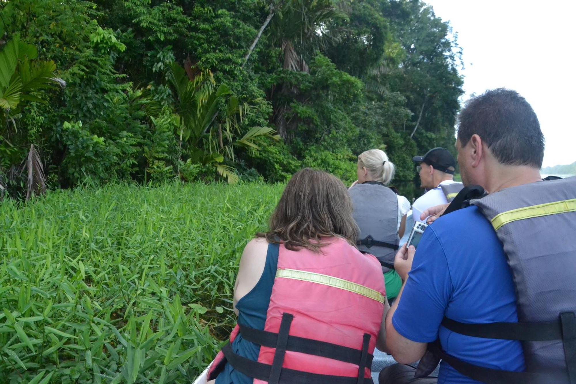 Green Macaw Hostel Tortuguero Exterior foto