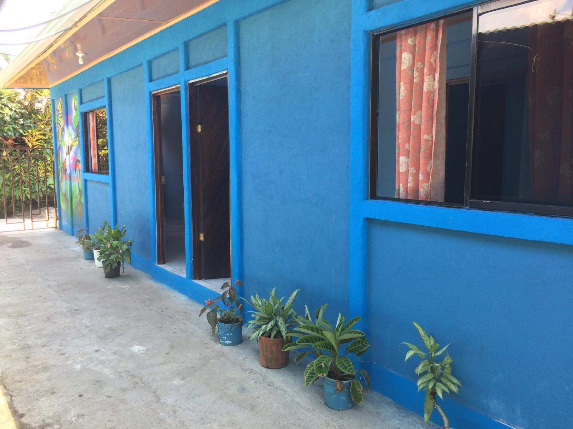 Green Macaw Hostel Tortuguero Exterior foto