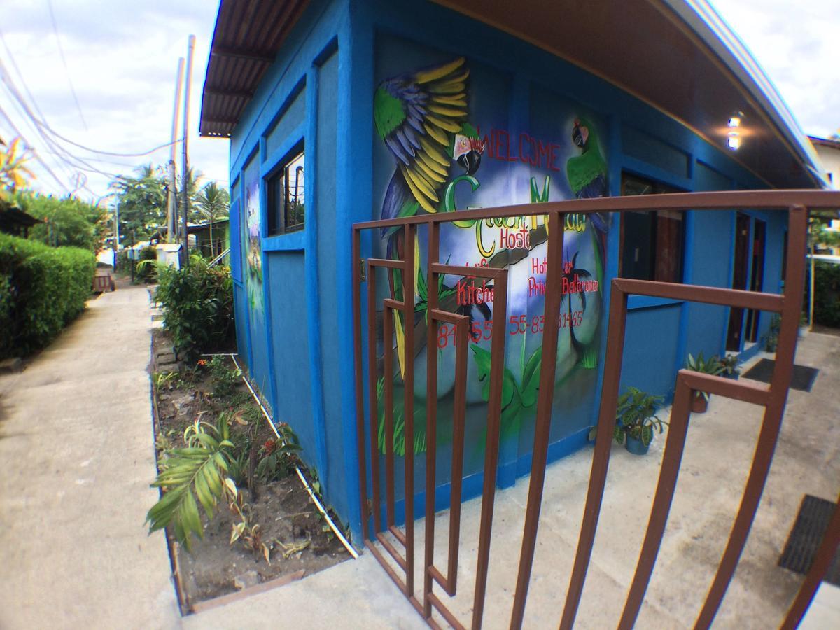 Green Macaw Hostel Tortuguero Exterior foto