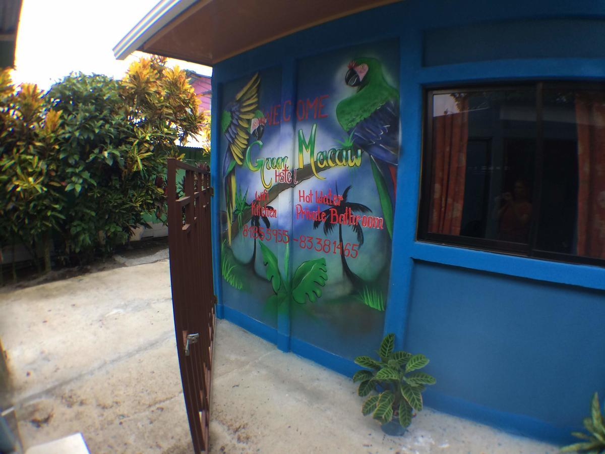 Green Macaw Hostel Tortuguero Exterior foto