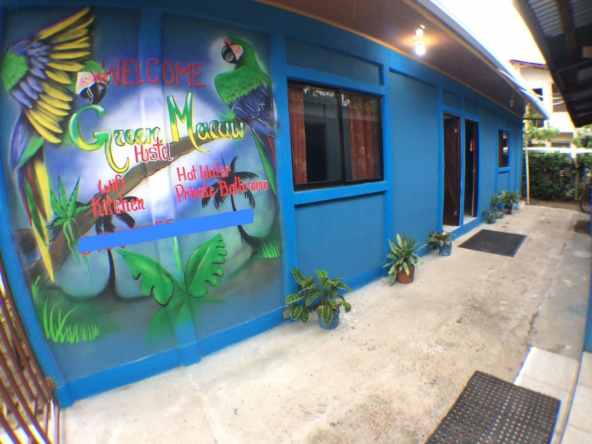 Green Macaw Hostel Tortuguero Exterior foto