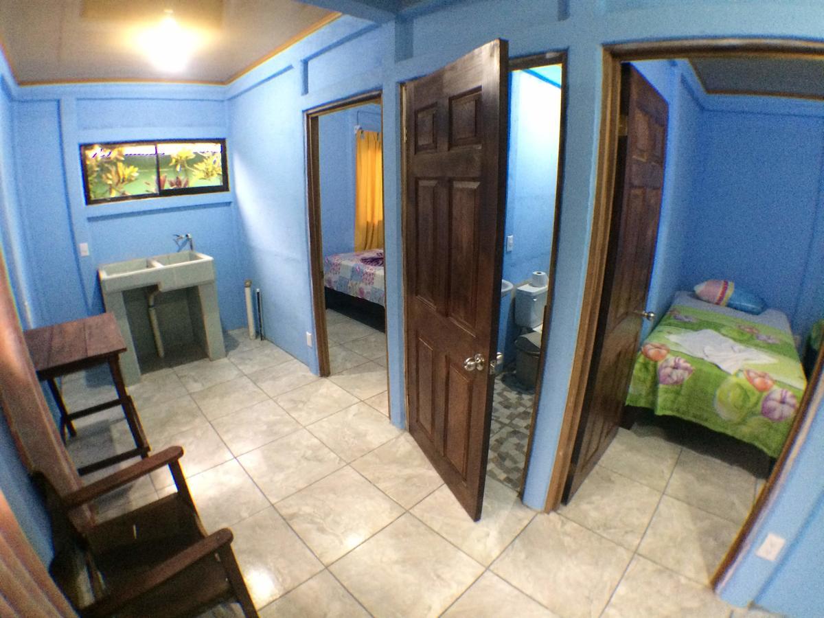 Green Macaw Hostel Tortuguero Exterior foto