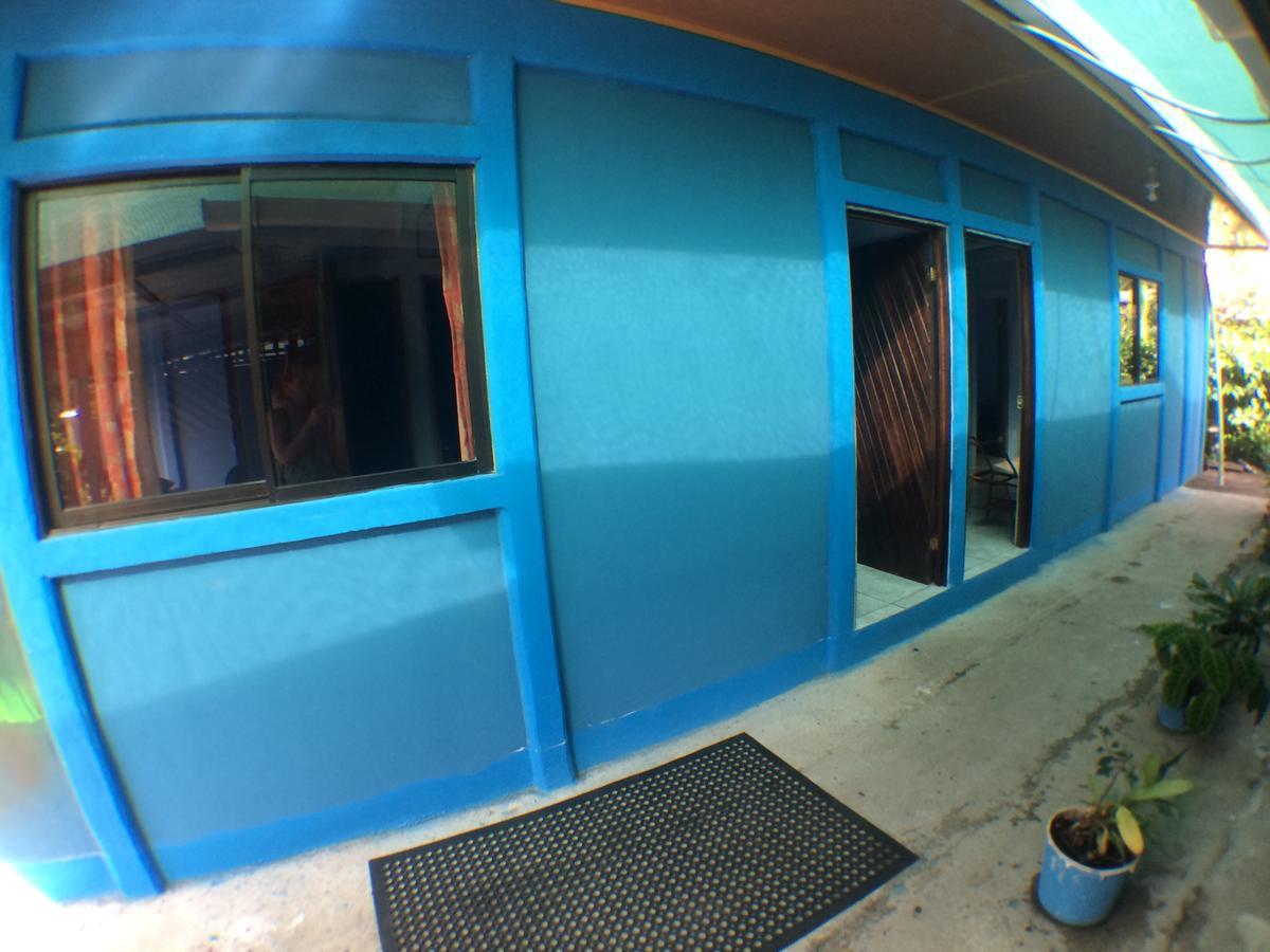 Green Macaw Hostel Tortuguero Exterior foto