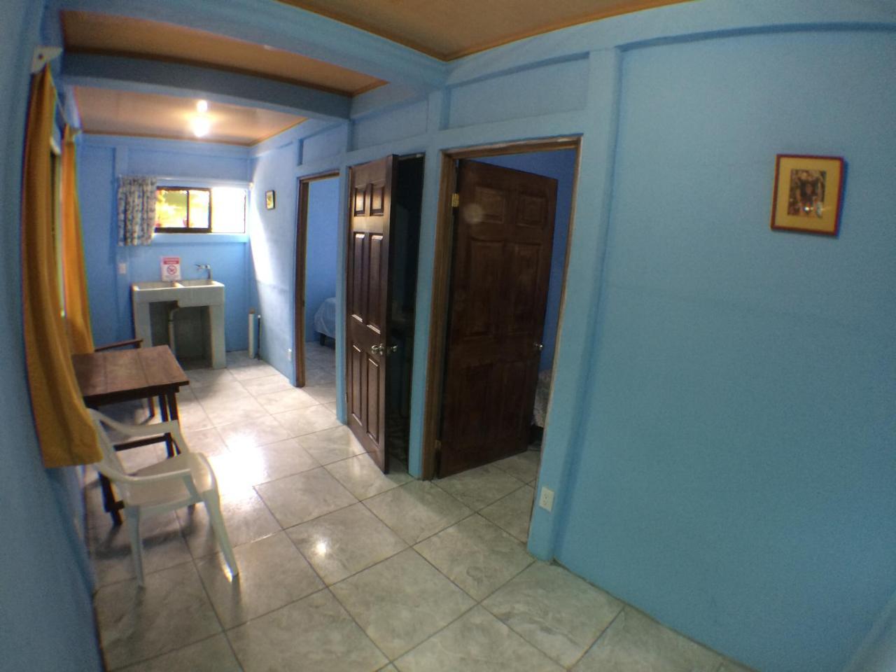 Green Macaw Hostel Tortuguero Exterior foto