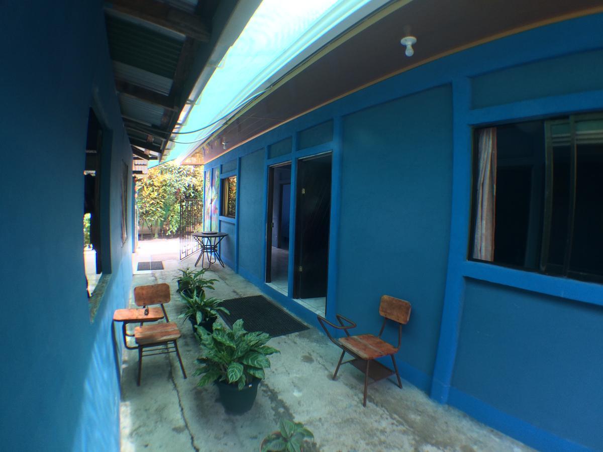 Green Macaw Hostel Tortuguero Exterior foto