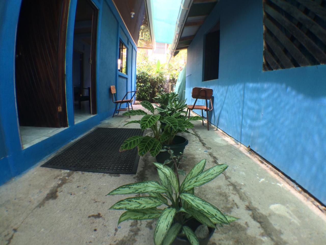 Green Macaw Hostel Tortuguero Exterior foto