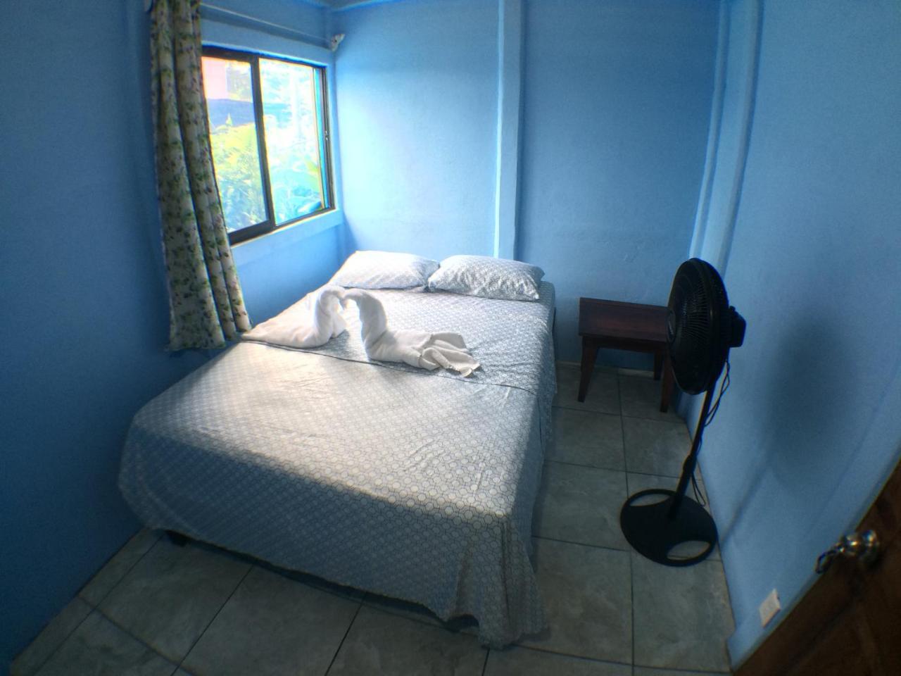 Green Macaw Hostel Tortuguero Exterior foto
