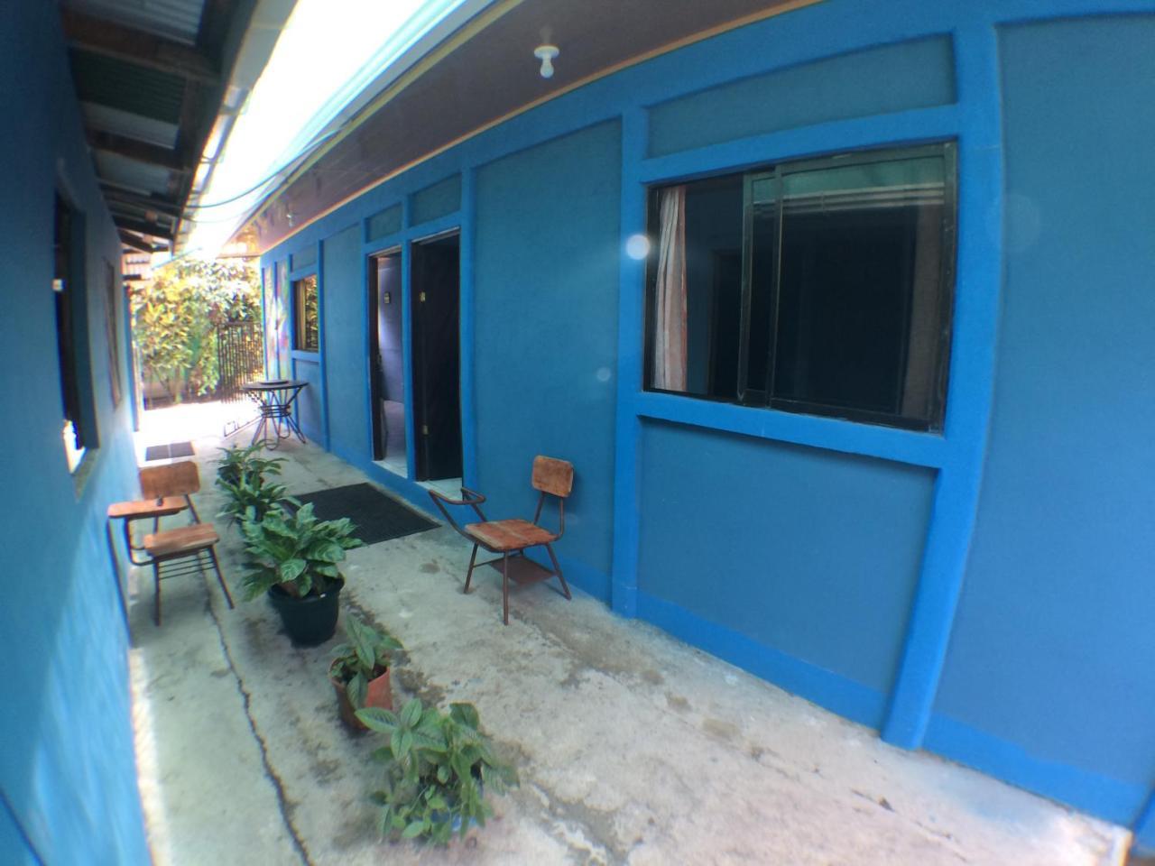 Green Macaw Hostel Tortuguero Exterior foto