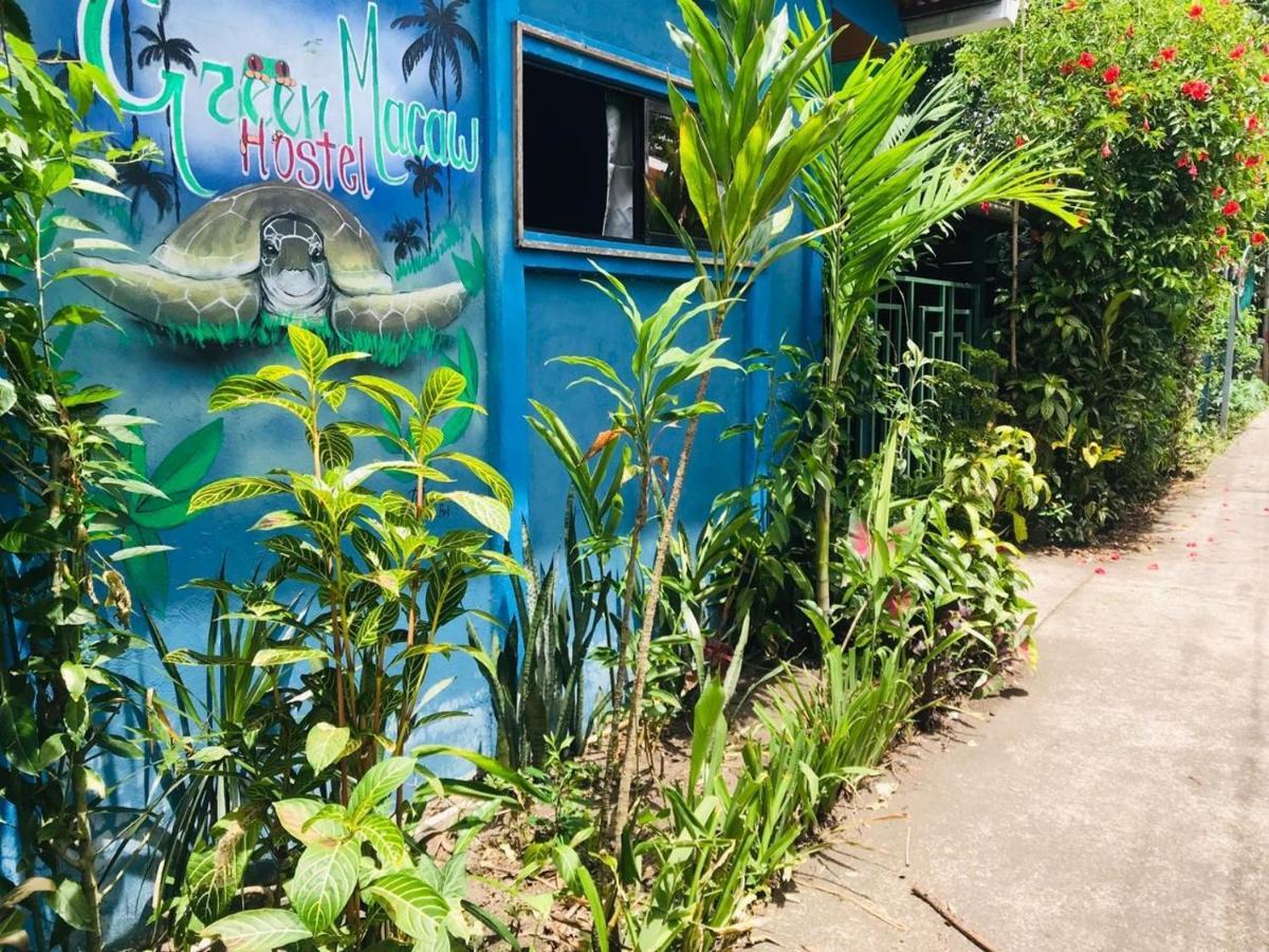 Green Macaw Hostel Tortuguero Exterior foto