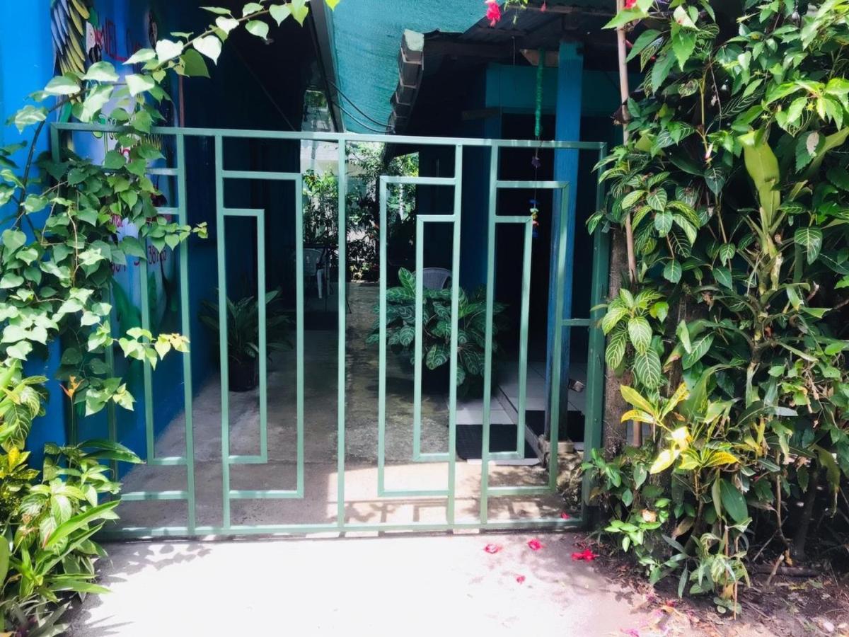Green Macaw Hostel Tortuguero Exterior foto